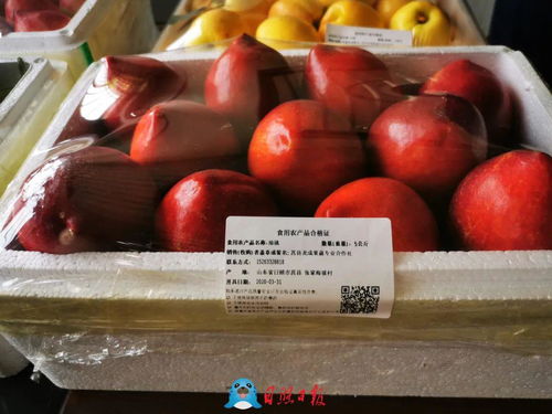 咱是有 身份 的果子了