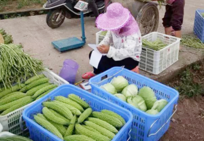 科學助力扶貧!大棚蔬菜&ldquo;種出&rdquo;致富經,光伏發電&ldquo;照亮&rdquo;新生活