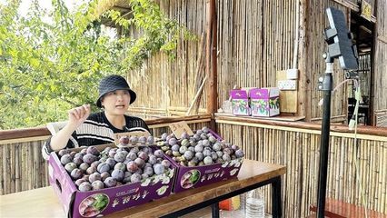 四川遂寧:蔬果飄香惹人醉 &ldquo;甜蜜產業&rdquo;促振興