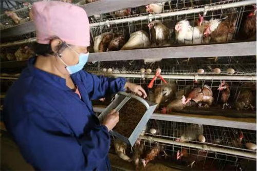 中國文明網 承德