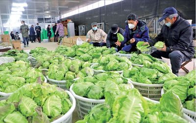 暖胃!暖心!這些浦東人將蔬果、大米、愛心餐送到一線工作者和需要的人手中&hellip;