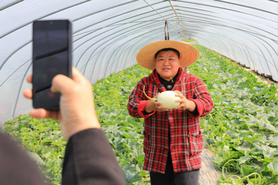 郊野大地|從田頭到鏡頭 &ldquo;抖音&rdquo;抖出農產品銷售新天地