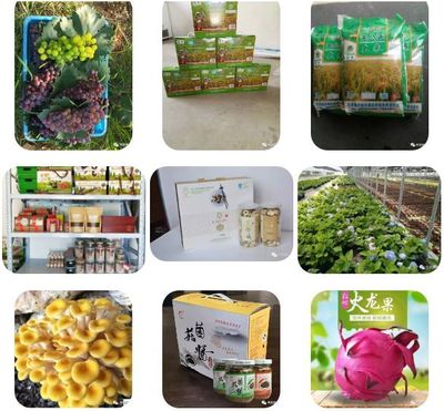 最后幾天!價(jià)值一百元嘉賓券領(lǐng)取倒計(jì)時(shí)啦!