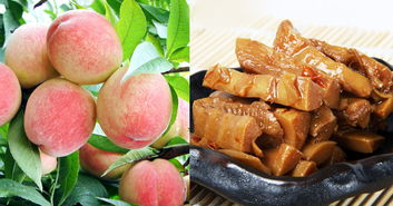 奉化市怡方果蔬專業(yè)合作社