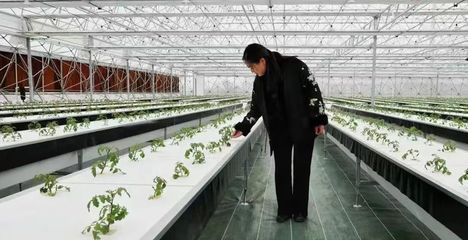 &ldquo;問(wèn)津&rdquo;故地美,&ldquo;星谷&rdquo;繪新篇