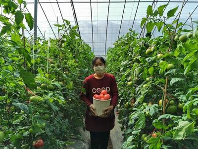 &ldquo;聊&middot;勝一籌&rdquo;太霸氣!區(qū)域品牌農(nóng)產(chǎn)品闖市場(chǎng)年銷量超百億元