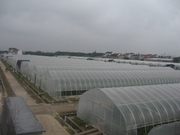 特色中國-區域市場上海