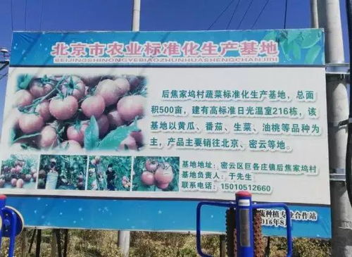 2018年北京農(nóng)業(yè)好基地丨北京密聯(lián)益果蔬種植專業(yè)合作社