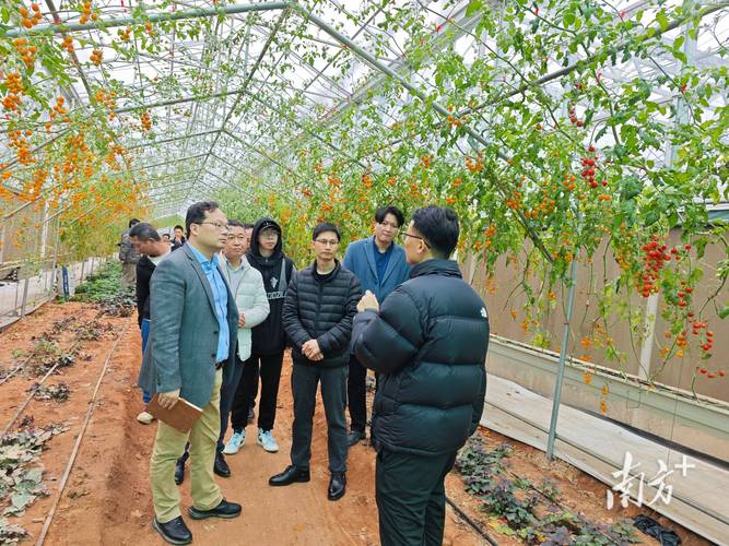 政企協(xié)聯(lián)動共謀廣東蔬菜產(chǎn)業(yè)高質(zhì)量發(fā)展