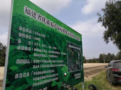 平潭:區(qū)農(nóng)業(yè)農(nóng)村局開展2019年省級優(yōu)質(zhì)農(nóng)產(chǎn)品(蔬菜)標(biāo)準(zhǔn)化示范基地項目驗收