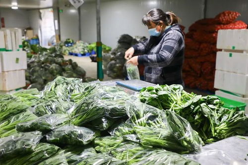 您的農(nóng)產(chǎn)品 快遞 即將送達(dá),請注意查收