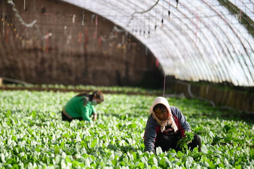 基于共同富裕目標(biāo) 不斷完善金融服務(wù)機(jī)制