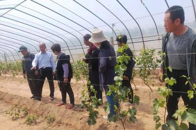 清徐蔬果專業合作社及個人榮膺國家級省級榮譽