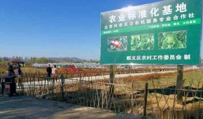 純天然的蔬果盛宴 蔬果專業(yè)合作社的魅力