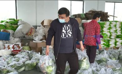 24小時不停歇，青浦蔬菜合作社全力保供蔬果