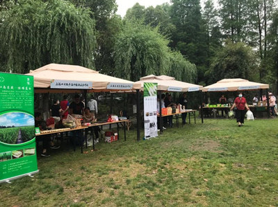 線上線下創新農業發展，“品牌化”激活鄉村振興新動能——以蔬果專業合作社為例