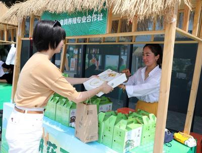奉賢田間玻璃屋 全年時令土產與本地高品質蔬果、鴿子蛋的匯聚地