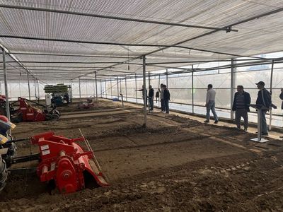 科技賦能菜園，機械助力豐收——寶山區蔬菜機械化生產示范現場會紀實